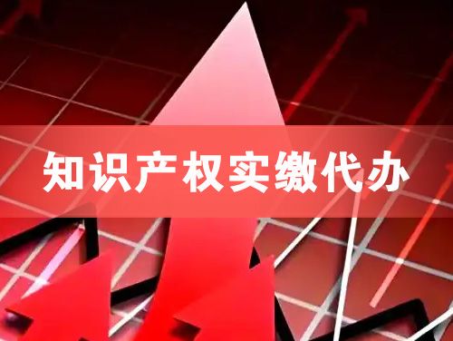 西昌知识产权实缴资本代办